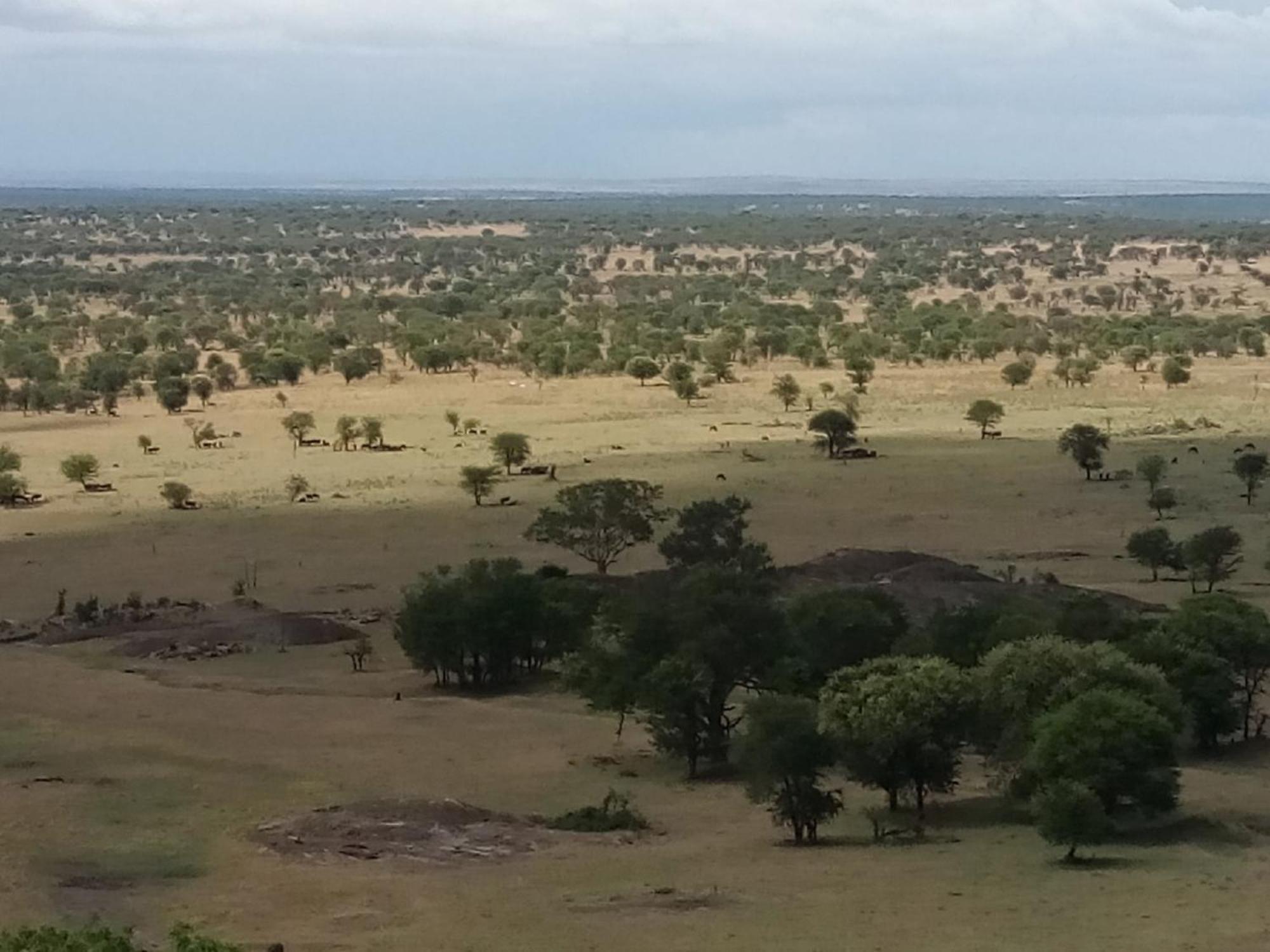 Lobo Wildlife Lodge Serengeti Esterno foto